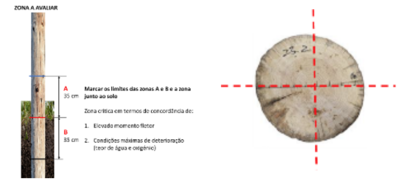 Procedimento de identificação da degradação 