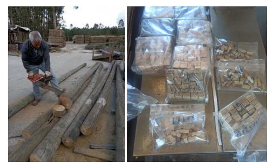 Obtenção de amostras dos postes selecionados