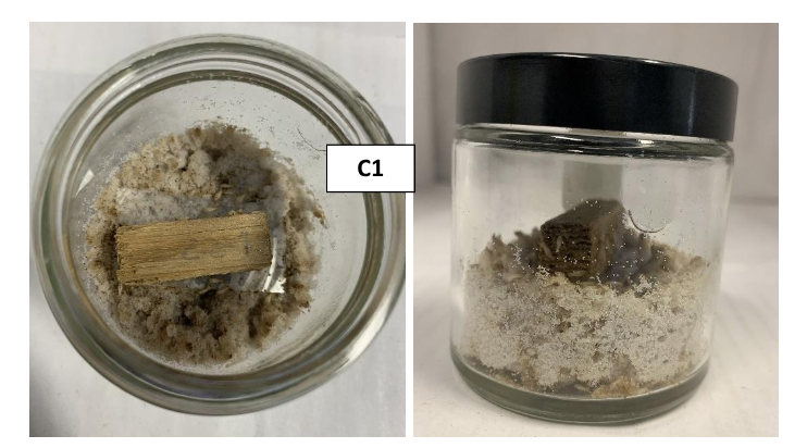 Ensaio de avaliação de resistência de provetes de postes de pinho bravo a térmitas subterrâneas.