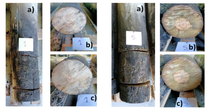  Postes 1 e 5 - ensaiados com proteção tinta intumescente ENVIROGRAF